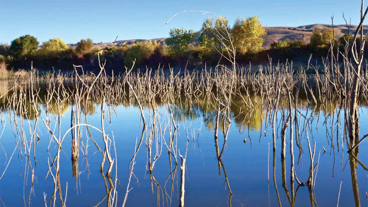 Quarry Lakes Regional Recreation Area, Fremont