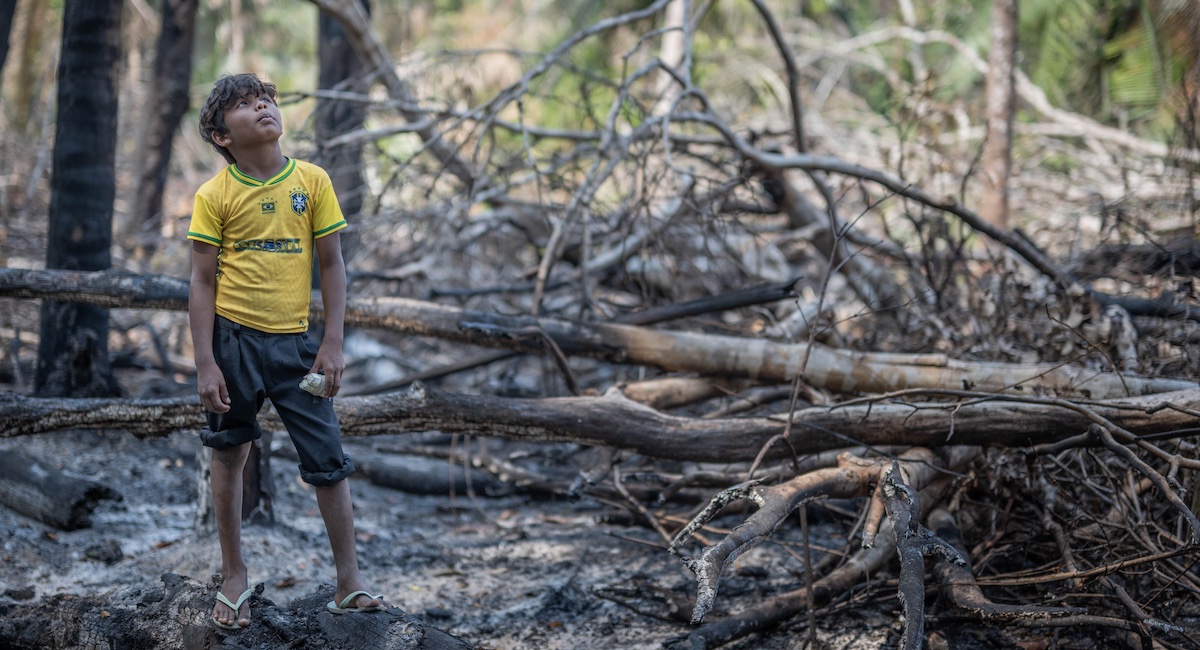 For defenders of Brazil's  forest, a day of mourning, warnings, and  rays of hope