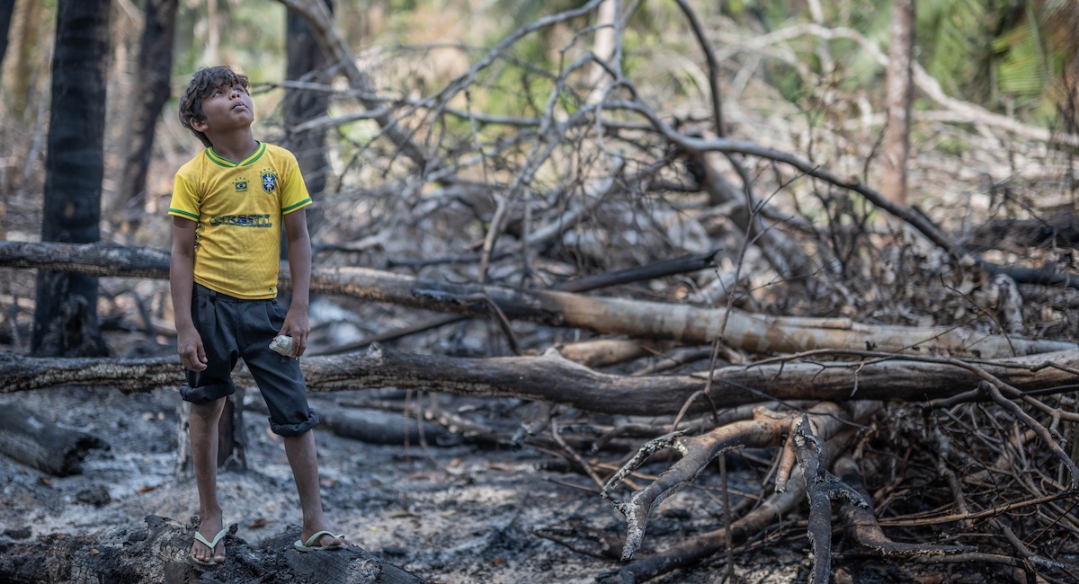 Brazil's election could determine the fate of the  after surging  deforestation : NPR