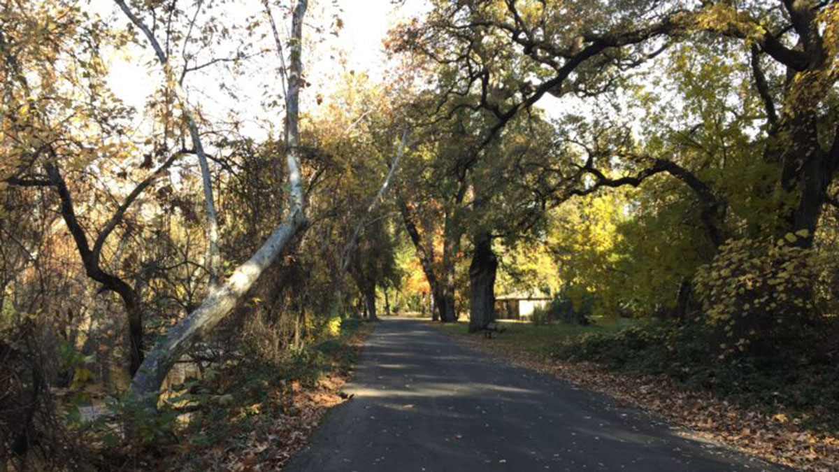 EBRPD Bidwell Park ChicoSol