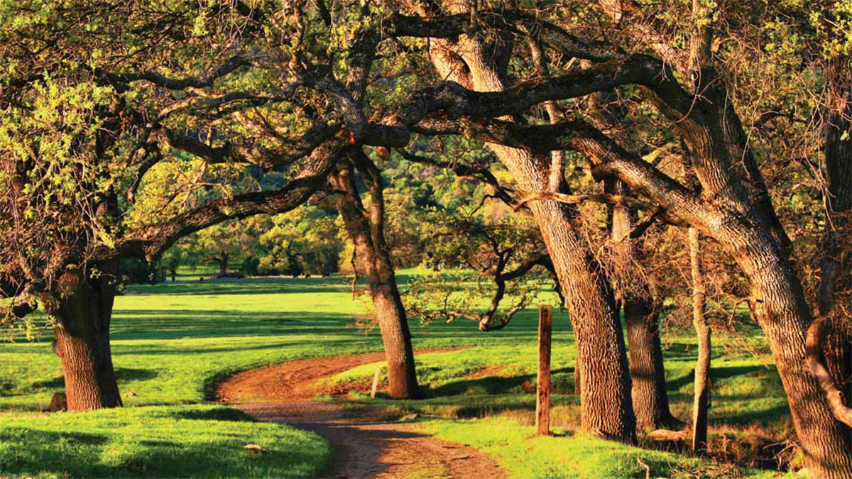 EBRPD Round Valley Regional Preserve, Brentwood