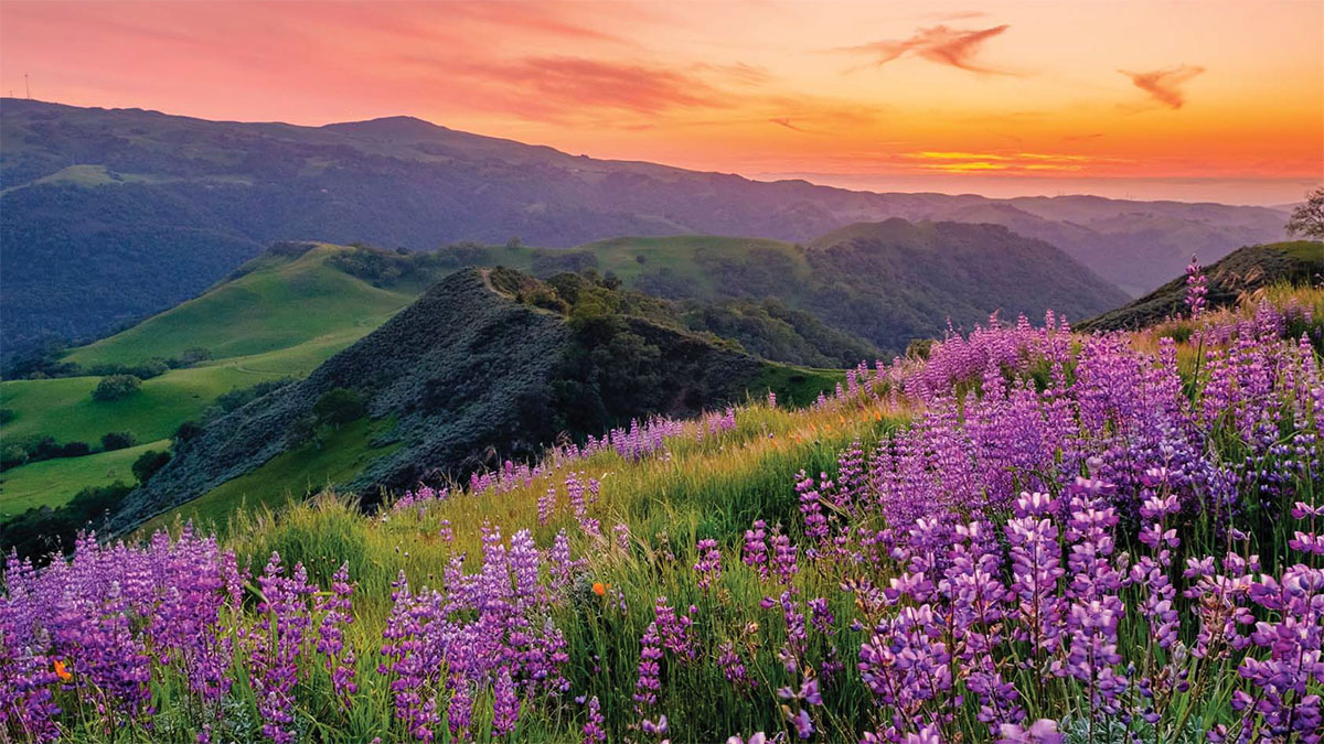 EBRPD Sunset