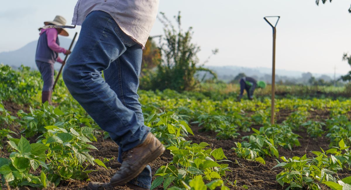 CA Farmworkers Still Struggle with Health Care Access | EMS