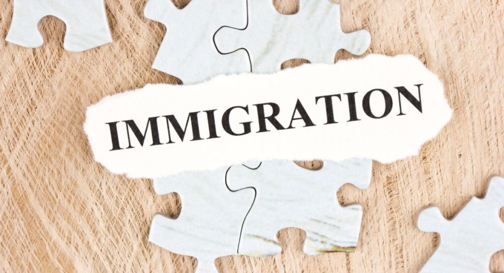Immigration Puzzle
