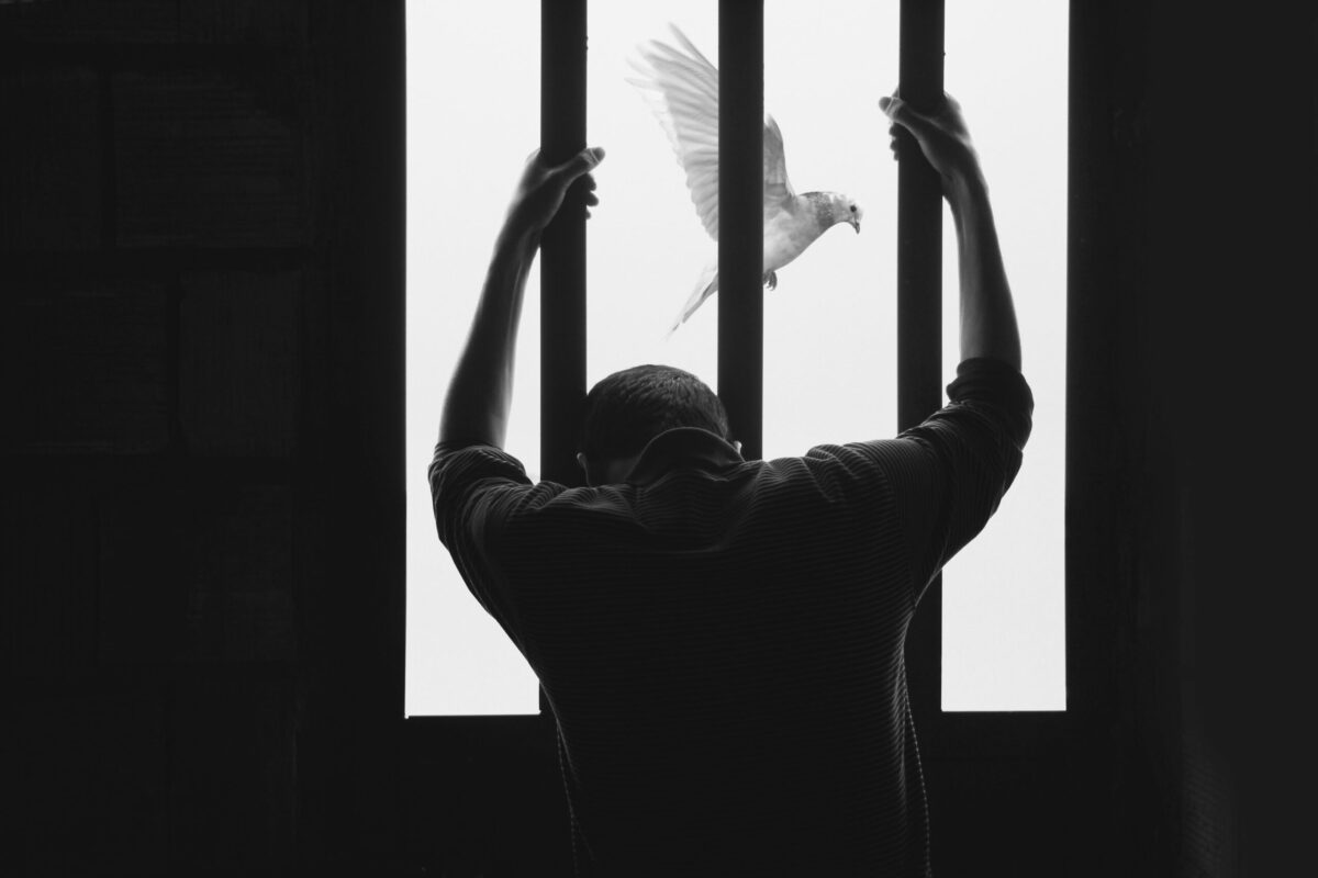 Prisoner watches as bird flies